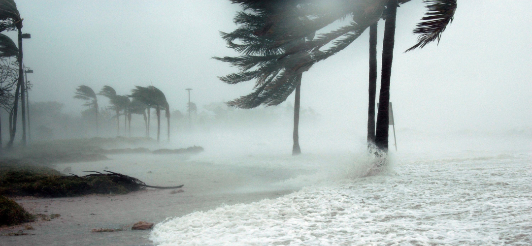 NOT JUST A PASSING STORM: How Natural Disasters Are Impacting the Insurance Market